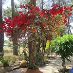Casa Do Pateo