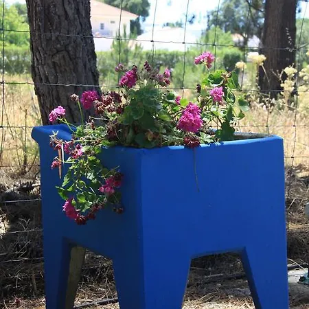 Agroturismo Casa Do Pateo