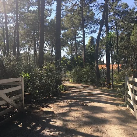 Farm stay Casa Do Pateo
