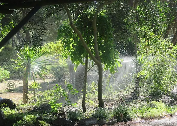 Casa Do Pateo Lantgård