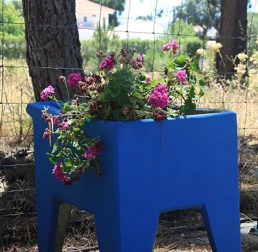 Lantgård Casa Do Pateo