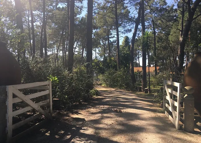 Lantgård Casa Do Pateo